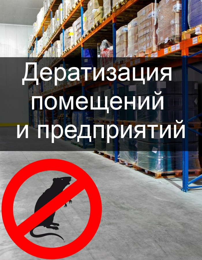 дератизация в саратове